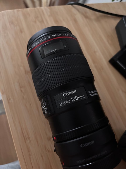 Canon 100mm f2.8 L Macro