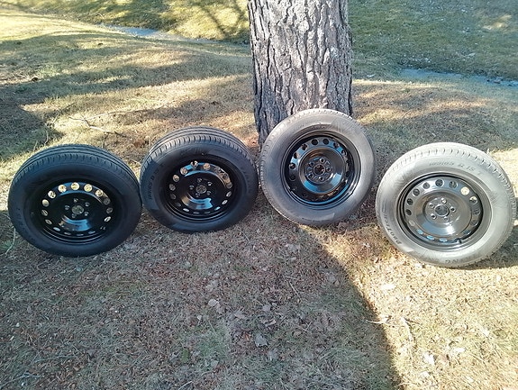 Avensis kesärenkaat