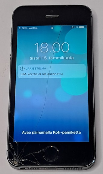 iPhone 5s, viallinen