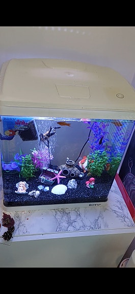 Nano CE serius akvaario 40l