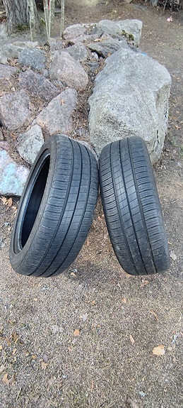Goodyear Efficient 2kpl kesärengasta.