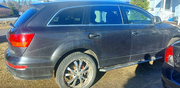 Audi Q7 osina