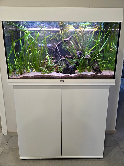 Akvaario Juwel Rio 125l