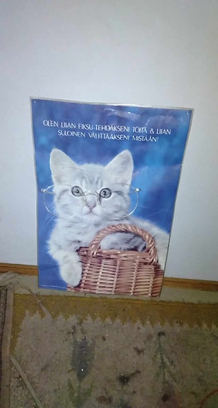 Kissa kuva painanta
