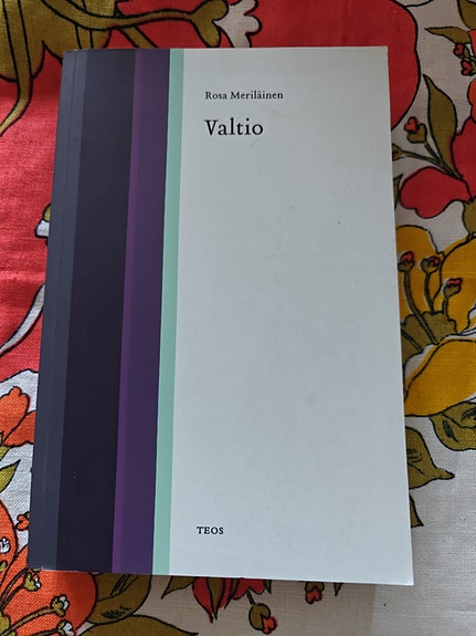 Rosa Meriläinen : Valtio
