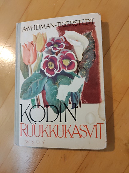 Kodin Ruukkukasvit