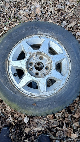 Mangels 13"