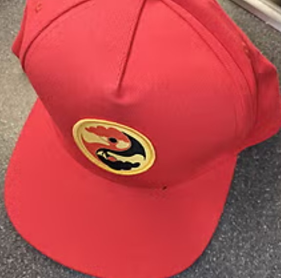 Karate kid Legends original lippalakki
