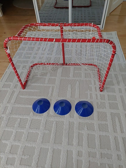 Salibandy pikkumaali