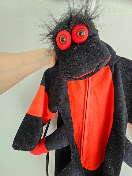 Product image 4 of 10