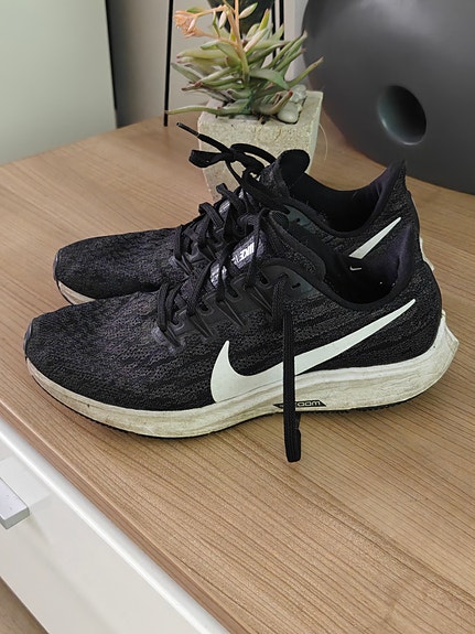 Nike Air Zoom Pegasus