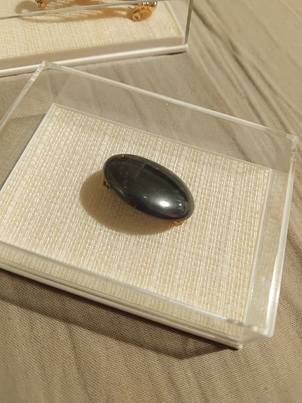 lakkakorupinssi vintage rintaneula merkki