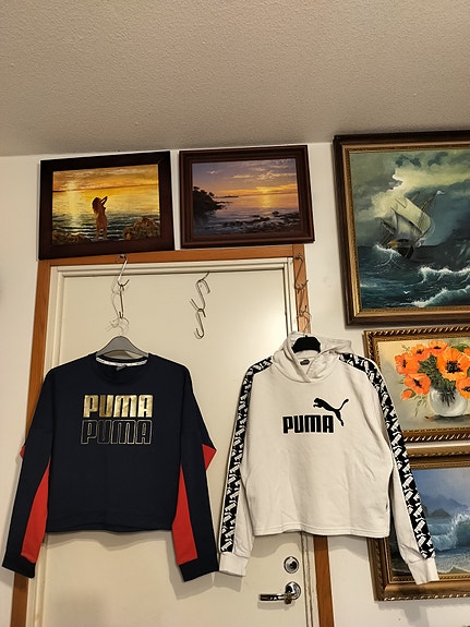 Puma pusero 42-44, Puma pusero 40