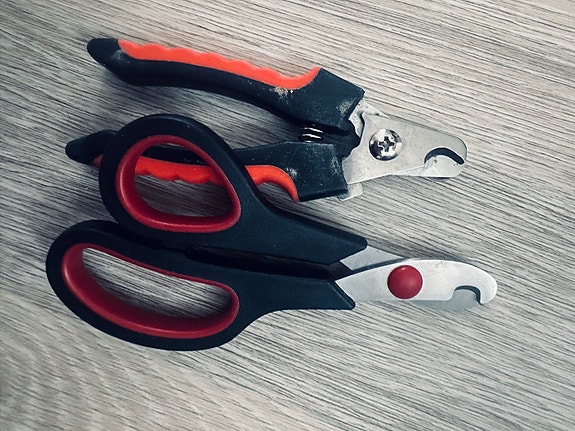 2x koiran kynsisakset