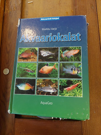 Akvaario kalat Markku Varjo