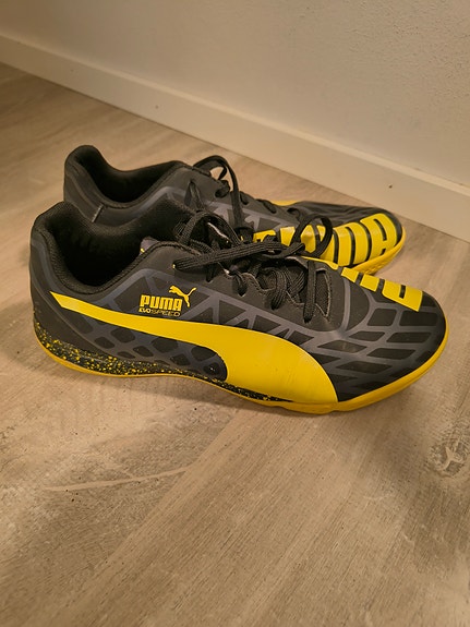 Puma sisäpelikengät 39