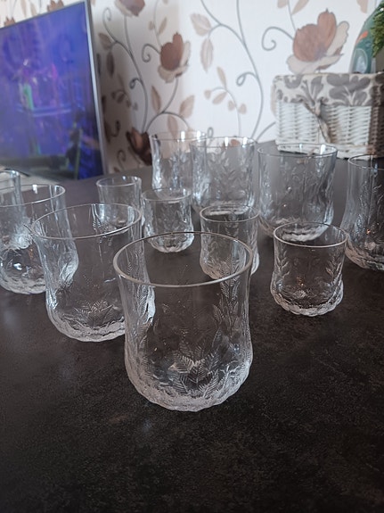Iittala koivu lasit