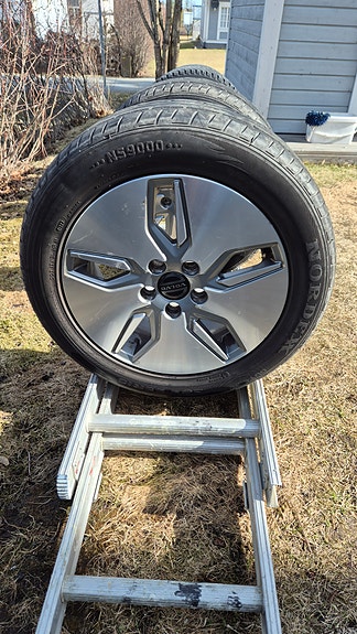 Volvo V50 alumiinivanteet kesärenkailla