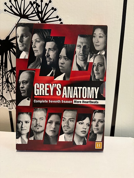 Greyn anatomia kausi 7