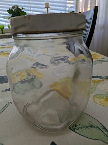 Riihimäen lasin Ilves purkki