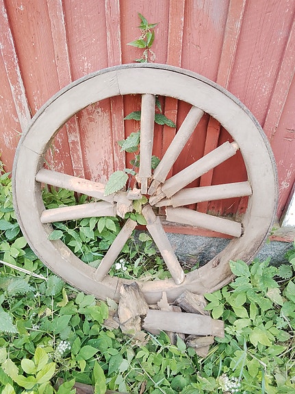 Kaikenlaista puutarhaan