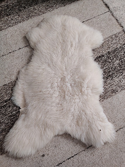 Kotimainen lampaantalja