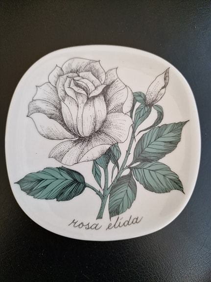 Arabia seinälautanen Esteri Tomulan Rosa Elida