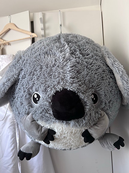 toy