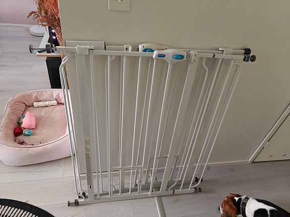 Carlson korkea koiraportti 2kpl.