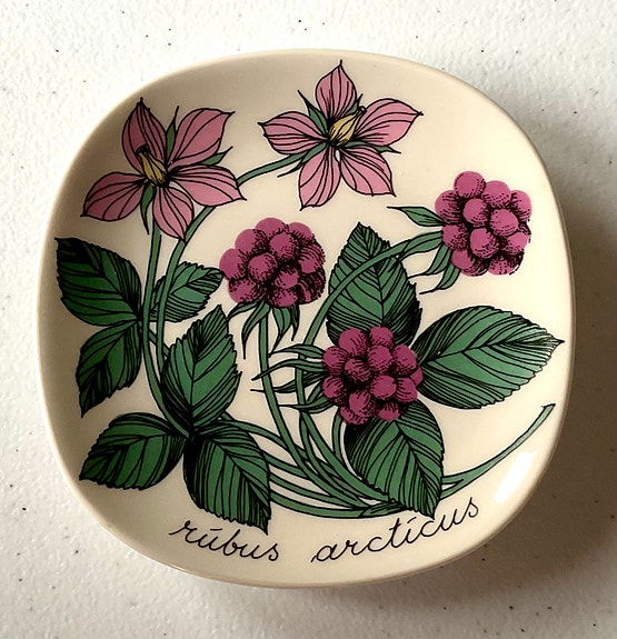 Seinälautanen Esteri Tomula, Botanica Mesimarja