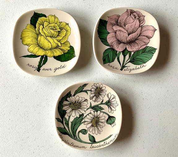Seinälautaset Esteri Tomula, Botanica