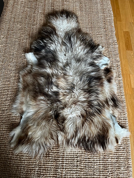 Friitala lampaantalja