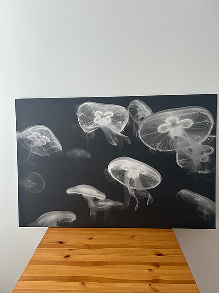 Ikea taulu