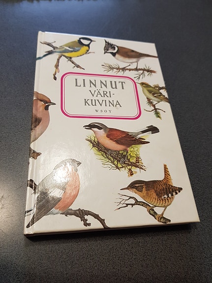 Linnut värikuvina.