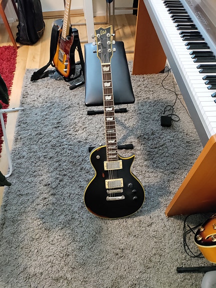 Esp ltd 256