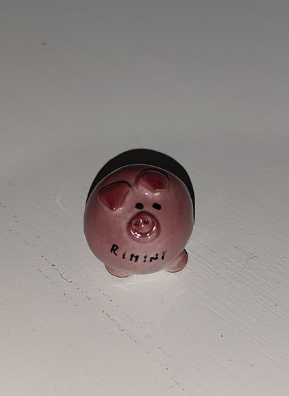 Pieni Possu koriste