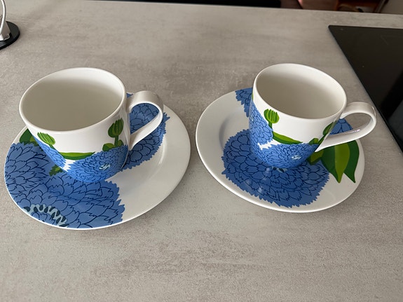 Iittala Primavera mukit ja lautaset