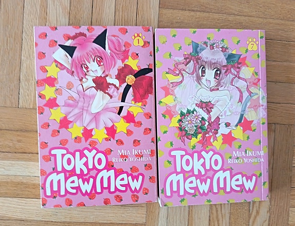 Tokyo Mew Mew -mangat
