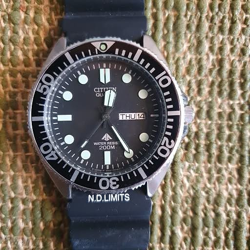 Citizen Promaster