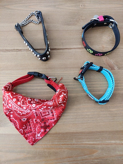 Koiran panta (Rukka, For My Dogs, Flamingo, Jokke)