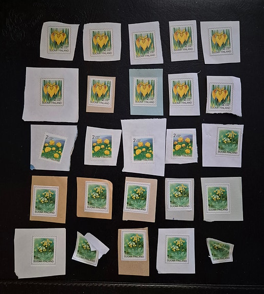 Ohileimatut ikimerkit (keltaiset kukat), 25 kpl!
