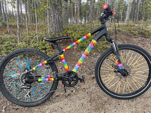 Crescent Vale 24" maastopyörä