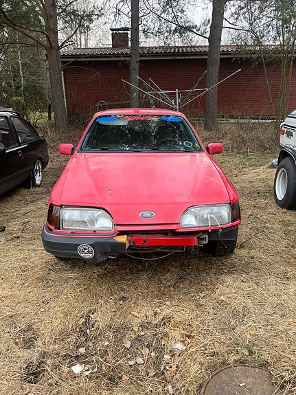 Ford sierra osina