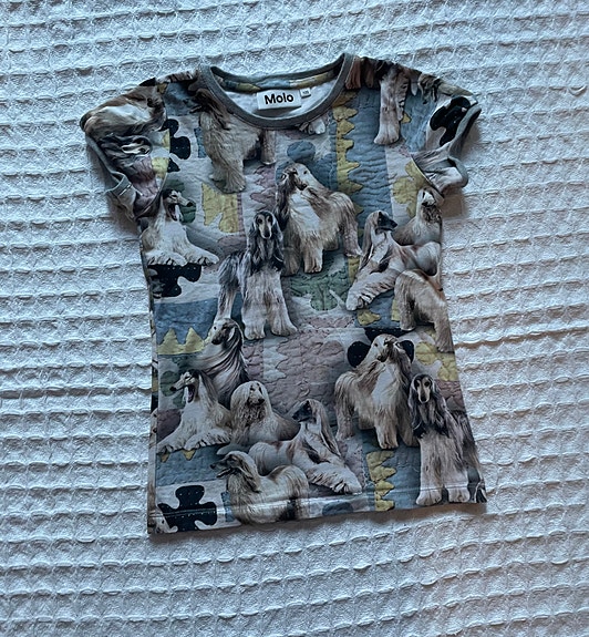 Molo koira t-paita, koko 122