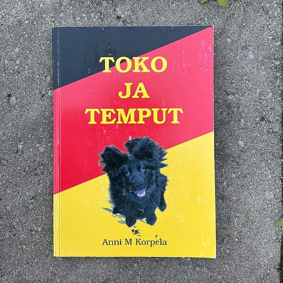 Anni M. Korpela: Toko ja temput