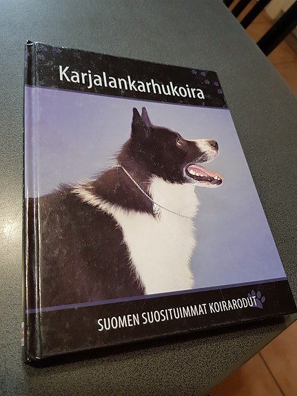 Karjalankarhukoira.  Suomen suosituimnat koirarodut.