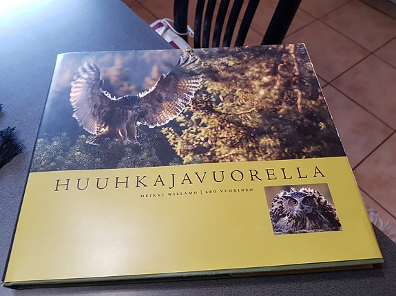 Huuhkajavuorella. Heikki Willamo, Leo Vuorinen
