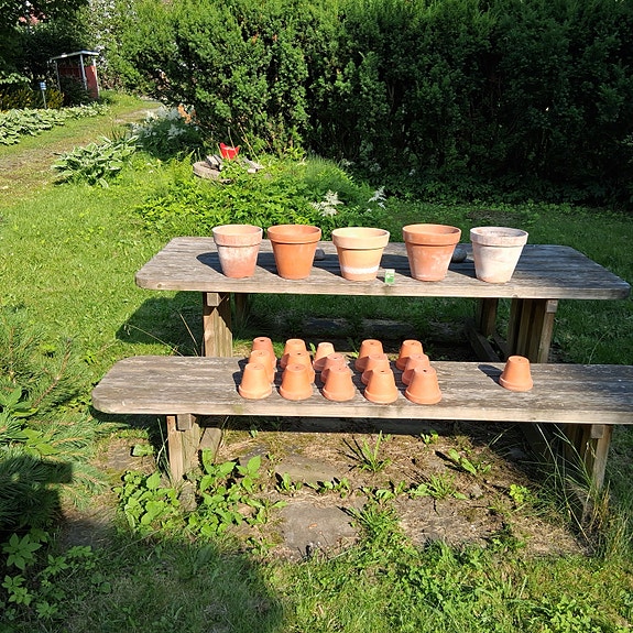 Saviruukkuja