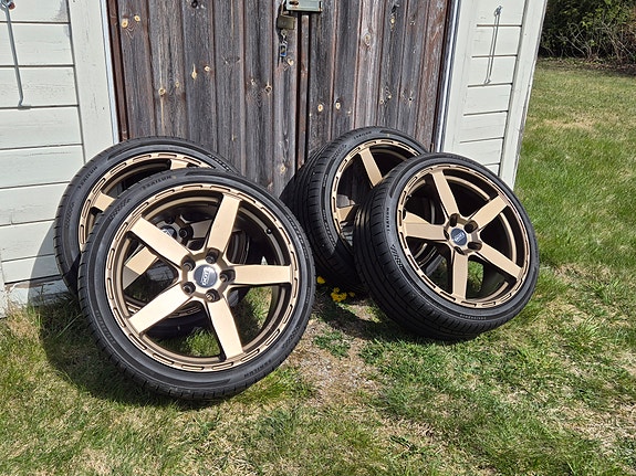 Dotz Marinabay Bronze 19" 5x112