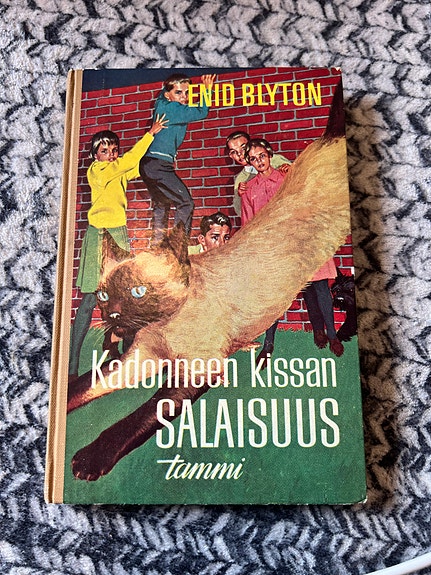 Enid Blyton Salaisuus-sarja kirjat Tammi